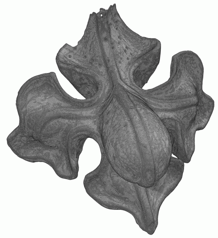 3D model ve formátu STL 3D model ve formátu STL