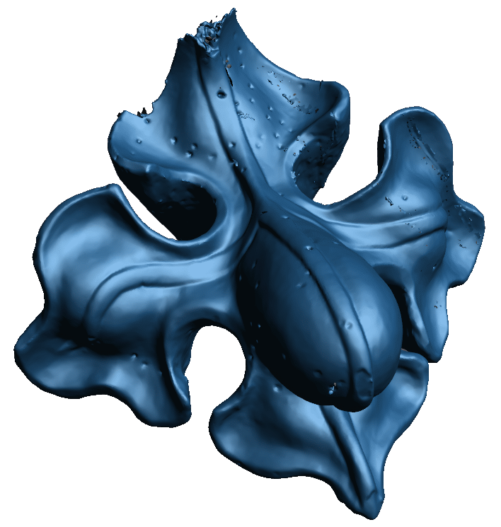 3D sken 3D sken